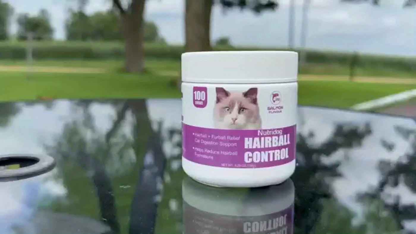 Cat Hairball Control Soft Chews 100ct – Digestive Support Supplement for Cats, Salmon Flavor, Herbal Formula