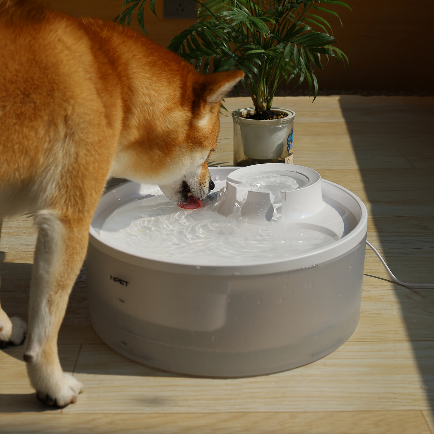 Large Dog Water Fountain 1.3-2 Gallon Triple Filtration Pet Drinking Fountain with Splatter Guard for Large Dogs & Multi-Pet Families