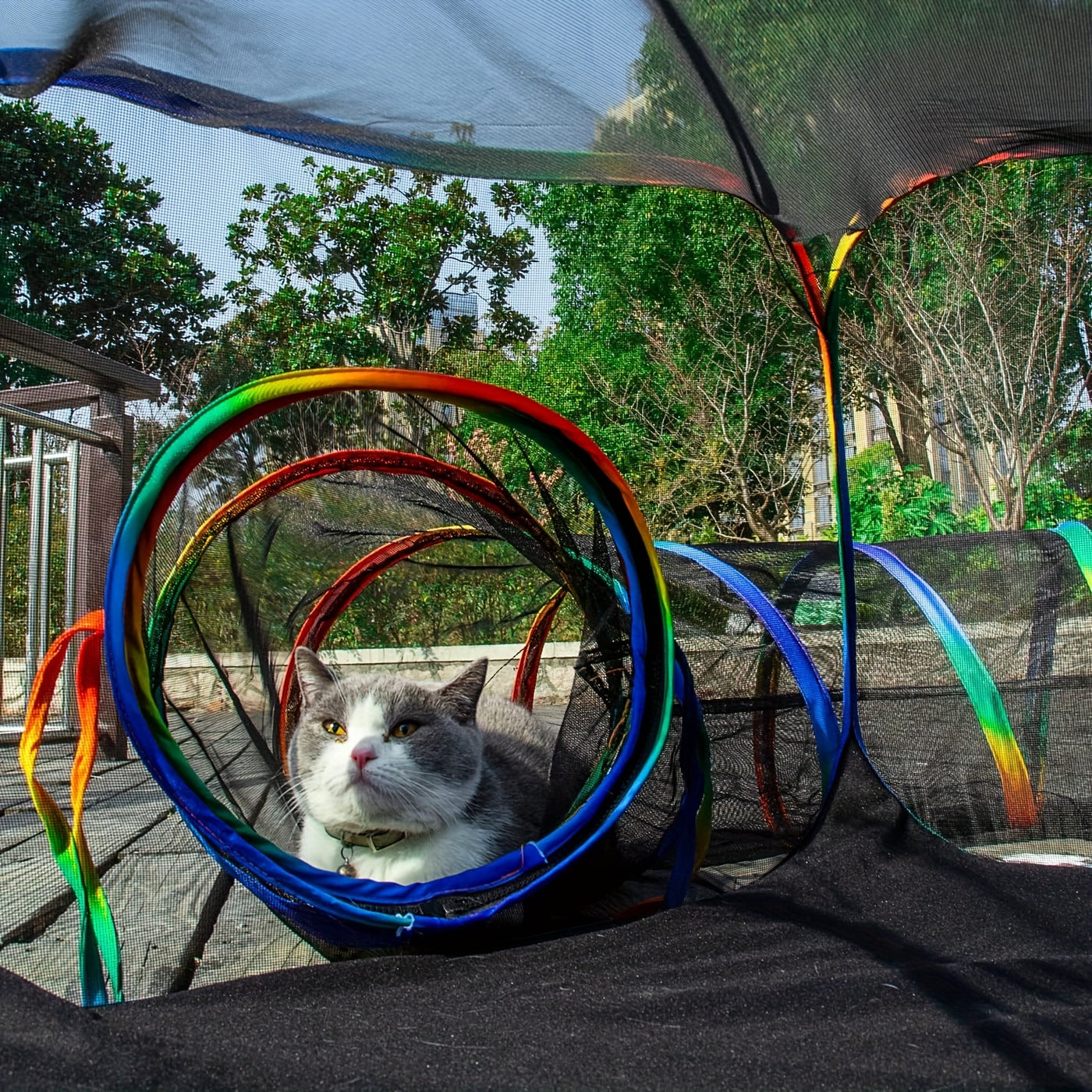 Outdoor Cat Enclosure Portable Catio – Cat Tent Playpen with Tunnel, Cage-Free Enclosed Cat Run for Indoor Cats & Small Animals, Easy Setup Secure Outdoor Cat Habitat