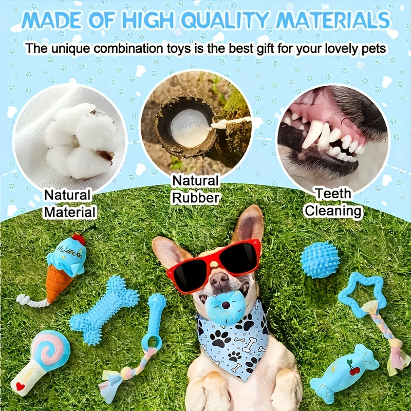 5-Piece Puppy Chew Toy Set for Small Dogs – Non-Toxic TPR & Plush Teeth Cleaning Teething Toys, Durable Interactive Dog Dental Toy Bundle, Pink & Blue