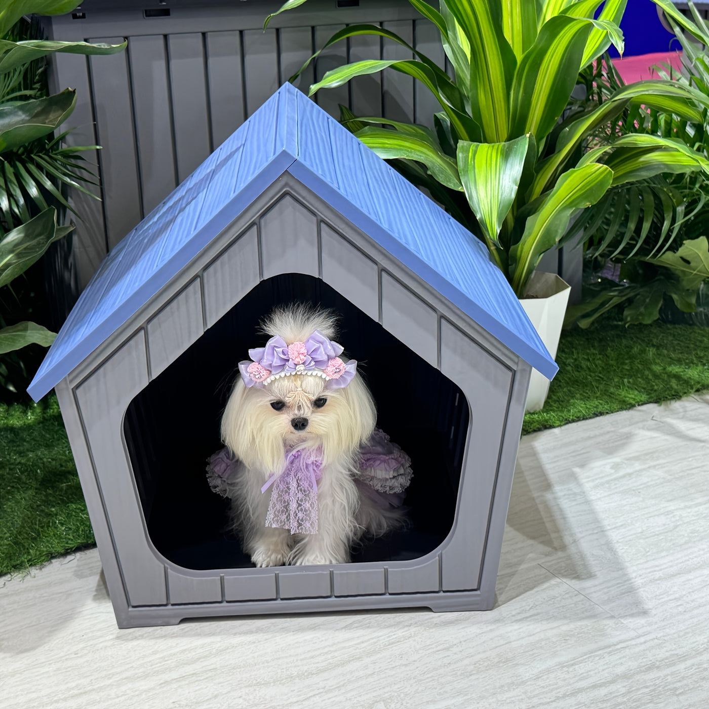 XL Resin Cat House Outdoor & Indoor with Raised Floor Resin Roof Easy Assembly - Weatherproof Cat Play Cage & Small Animal Enclosure 23.43" x 22.64" x 22.8"