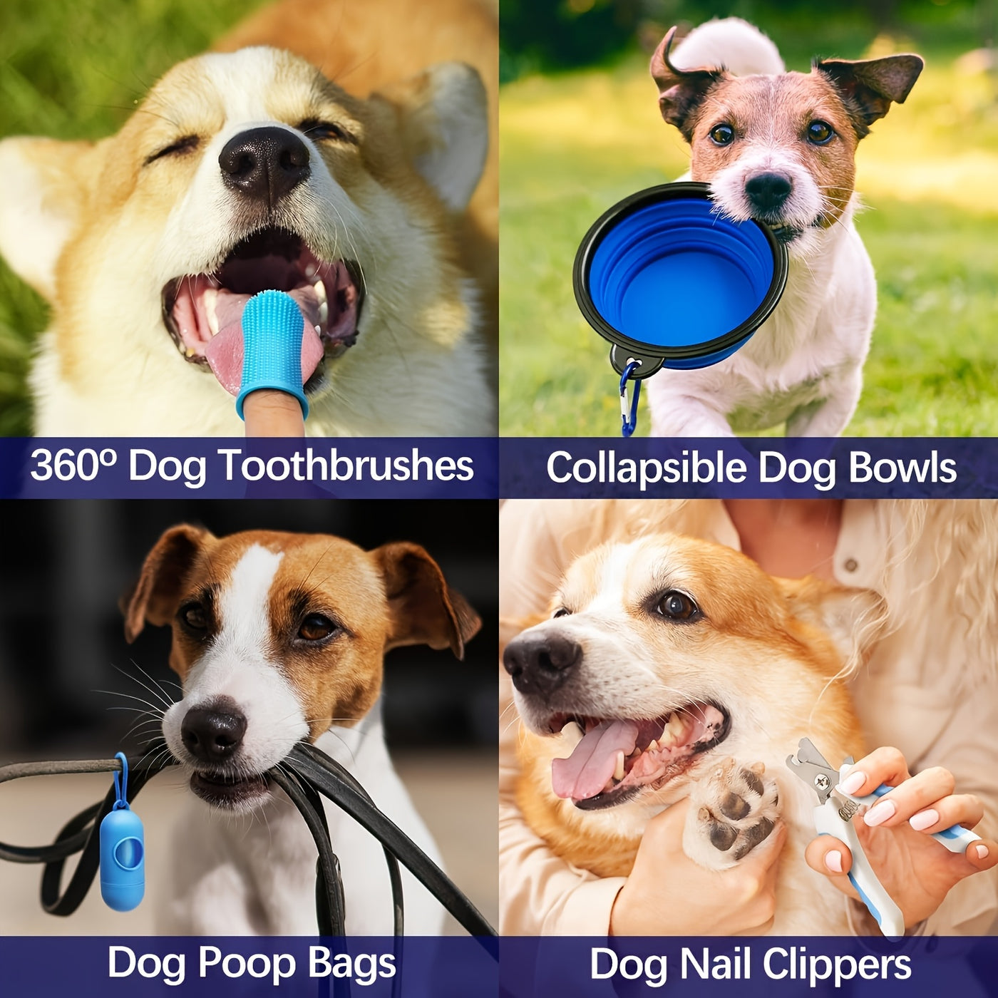 Puppy Chew Toy Set with Squeaky Balls Tug of War & Rope Toys - Teeth Cleaning Dog Toy Pack for Puppies & Small Dogs 6/12/19 Piece