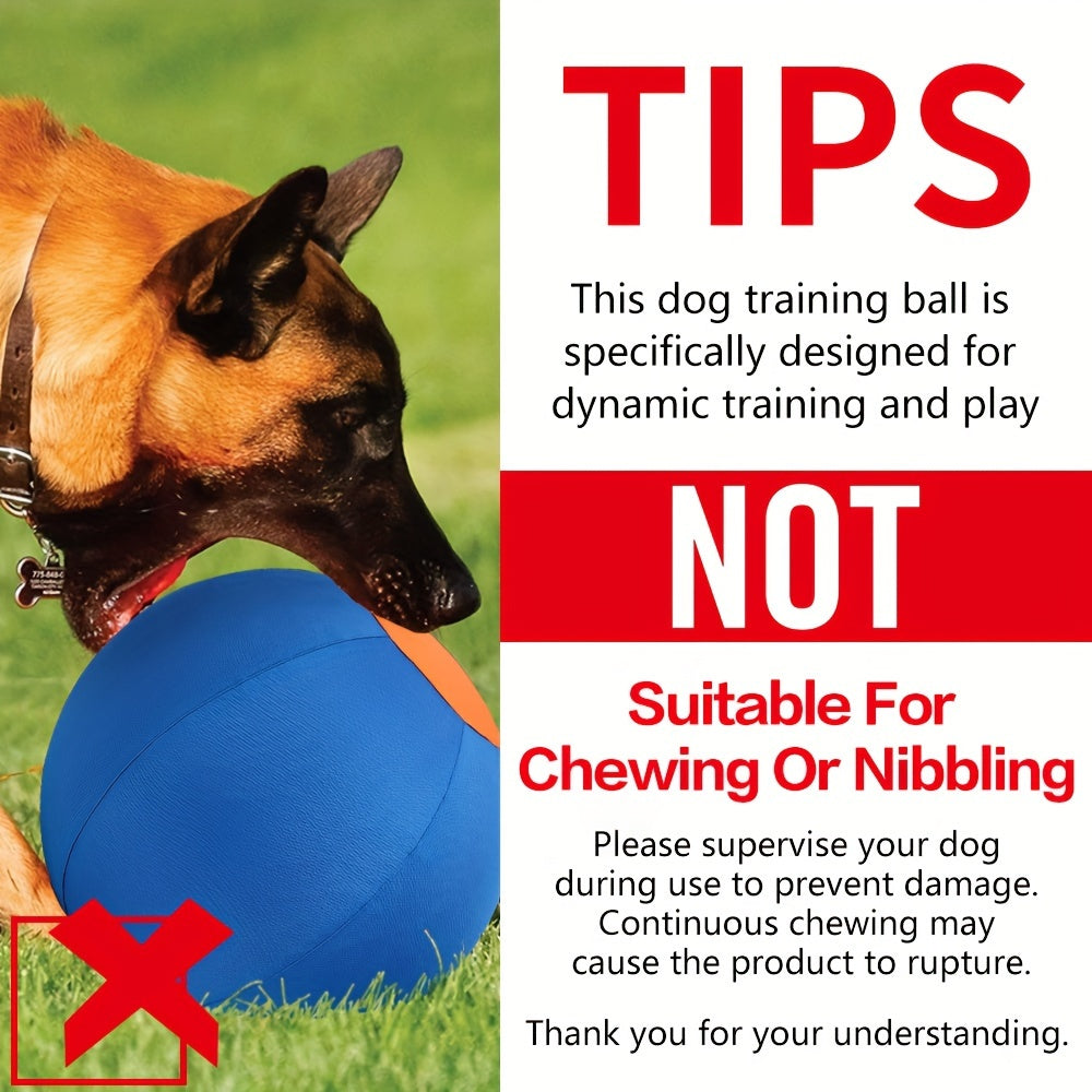 Dog Ball Toy for Small & Medium Dogs – Chew-Resistant Fetch & Training Ball, Independent Play, Shiba Inu Corgi Bulldog Golden Retriever, Blue or Orange