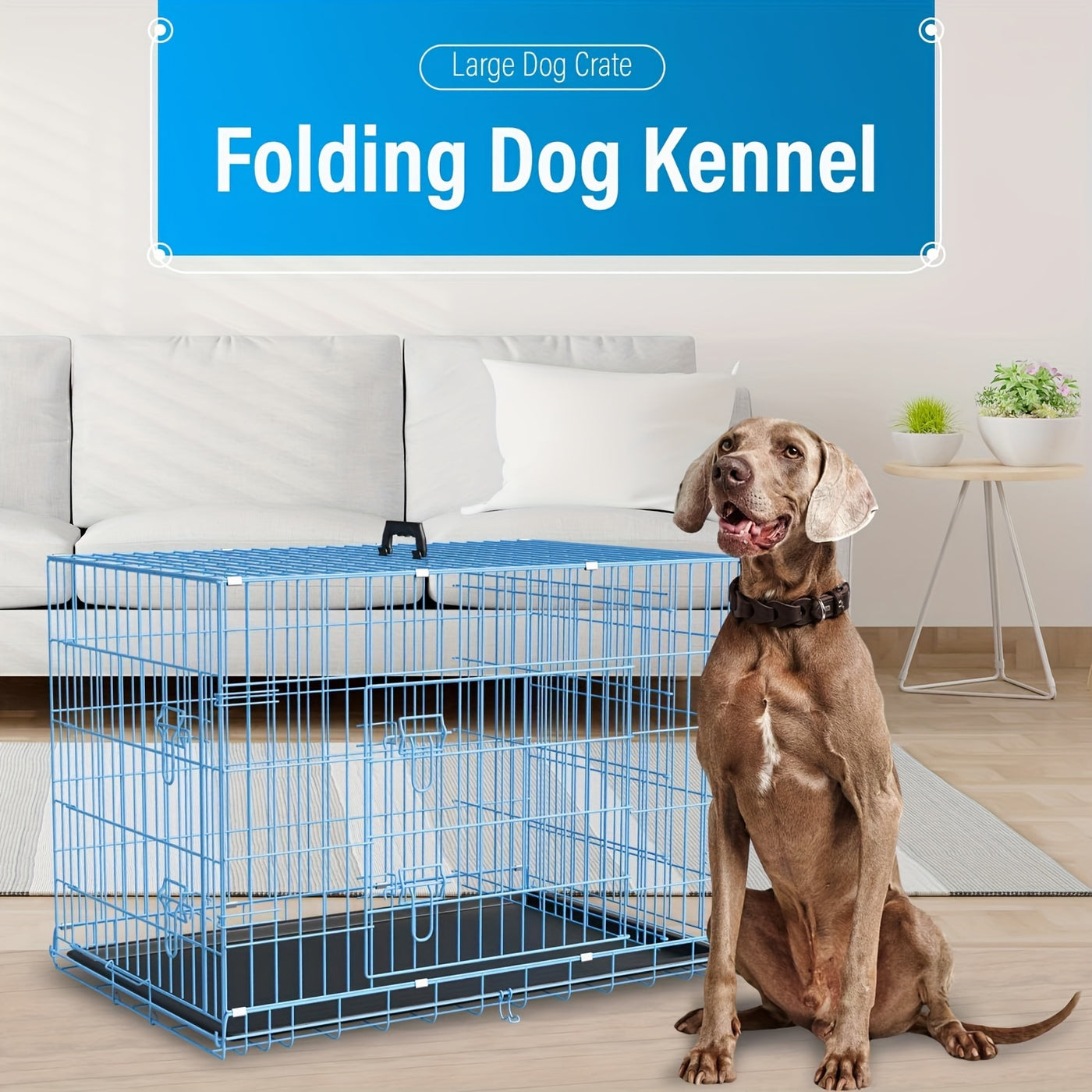 Folding Metal Dog Crate 42 & 48 Inch – Double Door Wire Dog Cage with Divider & Leak-Proof Tray for Puppies, Medium & Large Dogs, Indoor & Outdoor