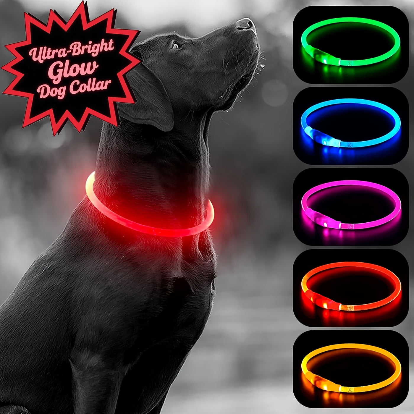 LED Dog Collar USB Rechargeable Light Up Safety Collar with 3 Modes 360° Glow - Adjustable TPU Night Walking Collar for Small Medium Large Dogs, Multi-Color Options