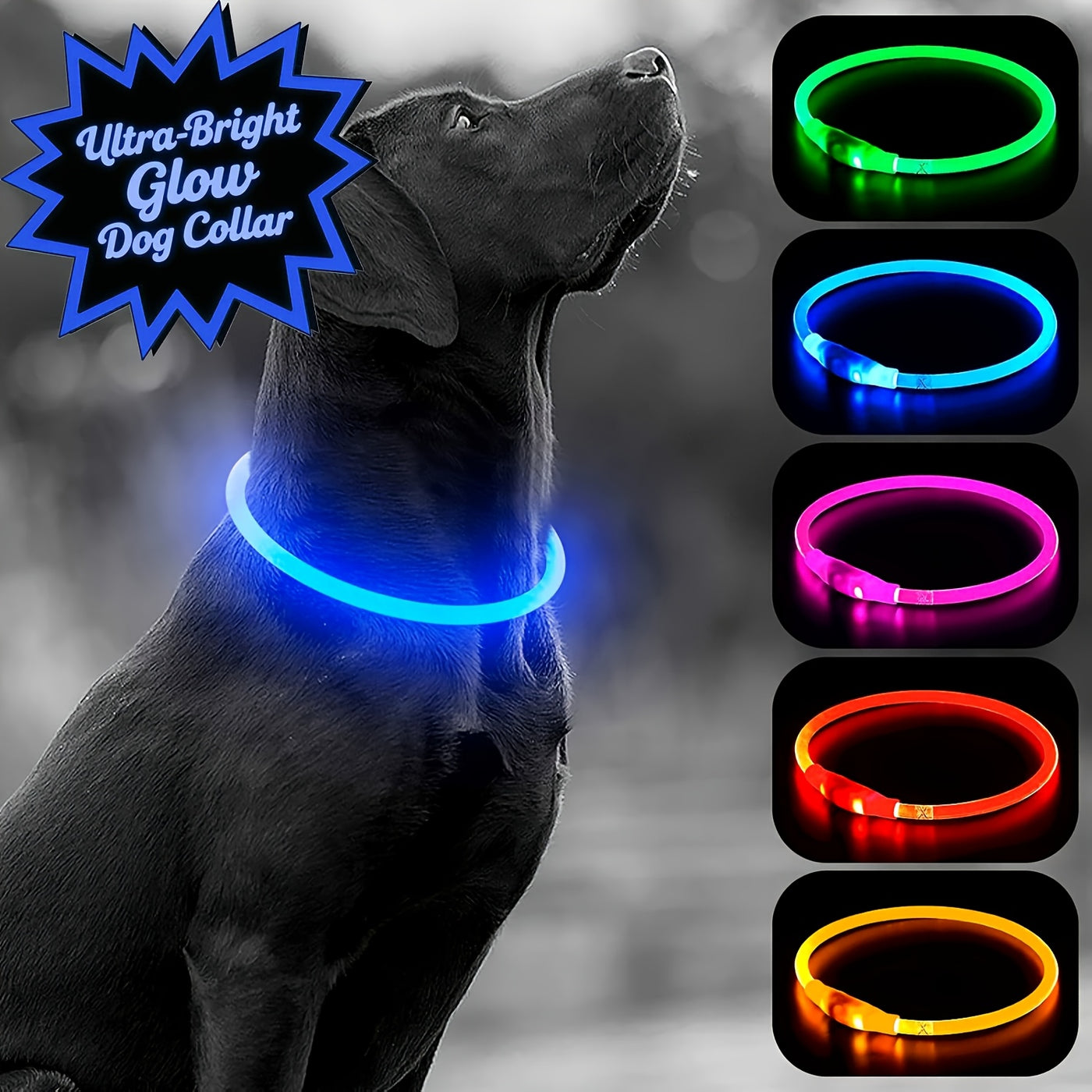 LED Dog Collar USB Rechargeable Light Up Safety Collar with 3 Modes 360° Glow - Adjustable TPU Night Walking Collar for Small Medium Large Dogs, Multi-Color Options
