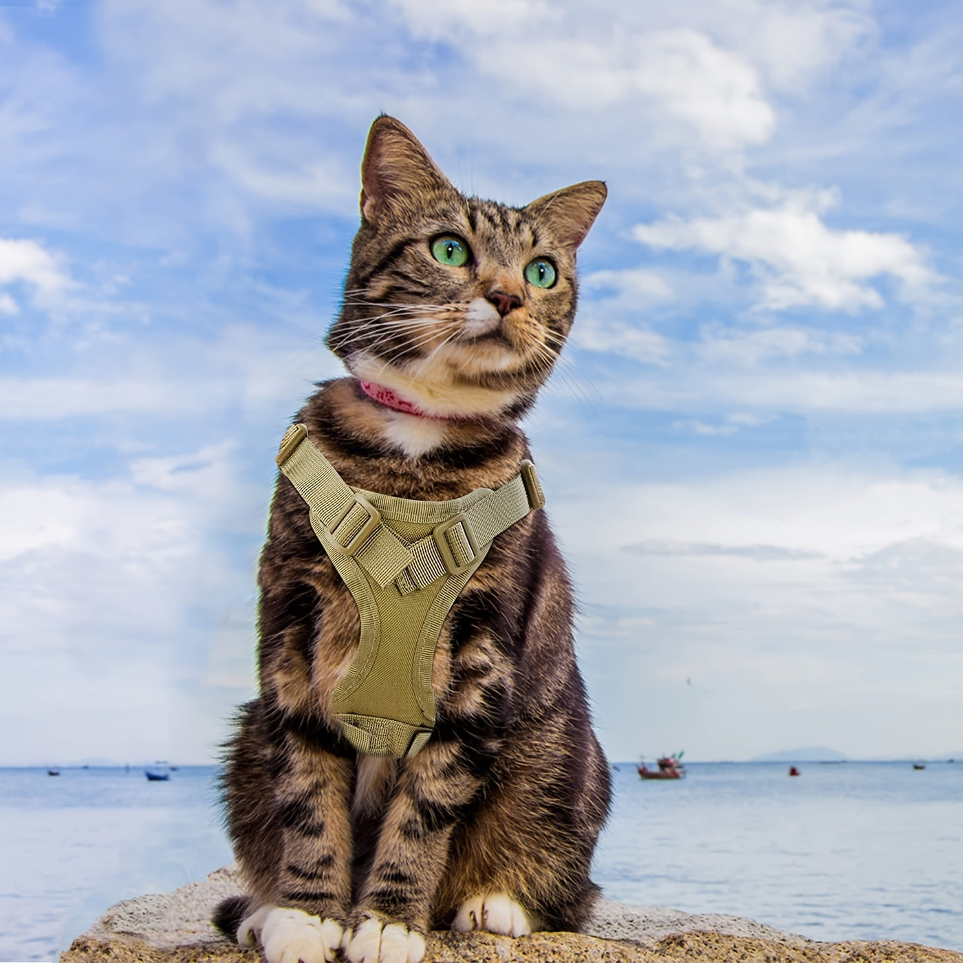 600D Cat Tactical Vest Harness Adjustable - Escape-Proof Chest Strap Vest for Cats & Puppies, Training Walking Outdoor Harness, Black Khaki Red Rose Red Mineral Green Mixed