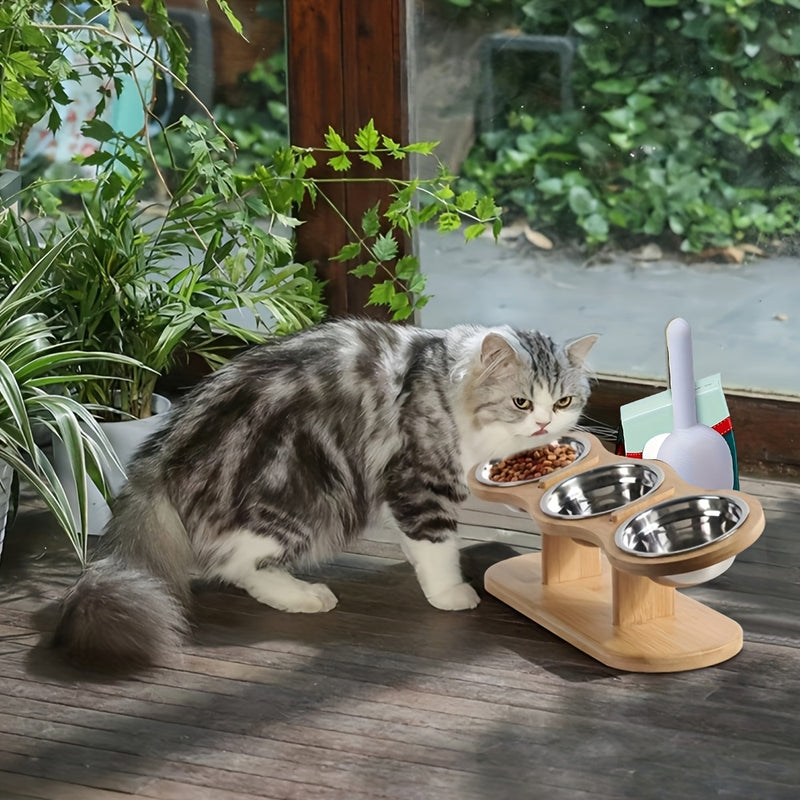 Elevated Cat Bowl Set Stainless Steel – Food & Water Bowls on Stand with Divider Spoon for Cats, Kittens, Puppies & Small Pets