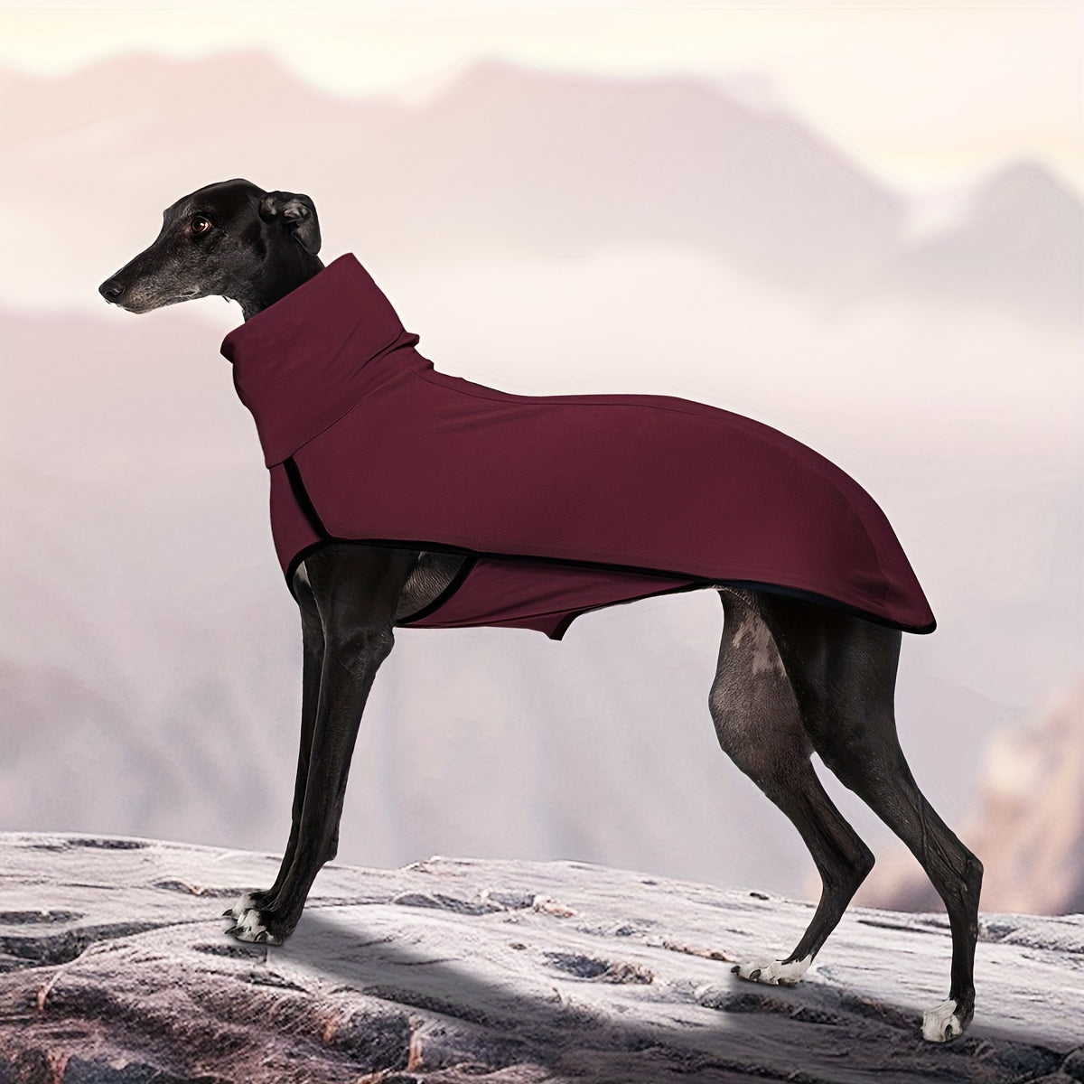 High Neck Dog Coat – Warm Solid Color Woven Polyester Pullover for Small Medium Large Dogs, Machine Washable All-Season Fall Winter Pet Clothing, XL to 4XL