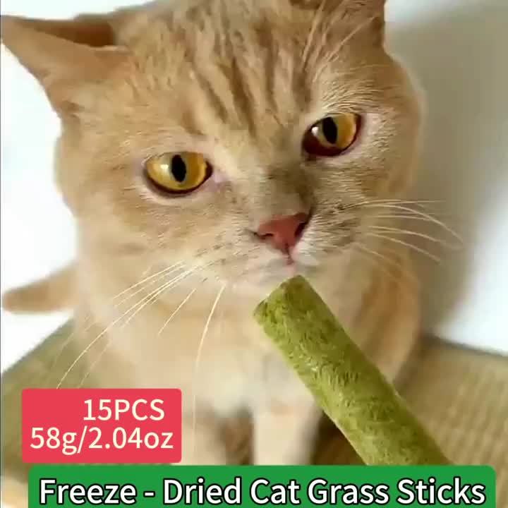Cat Grass Sticks for Hairball Control – Freeze-Dried Catnip Treats with Instant Granules & Hair Cream Tablets for Indoor Cats | 15pcs / 3x5pcs Pack