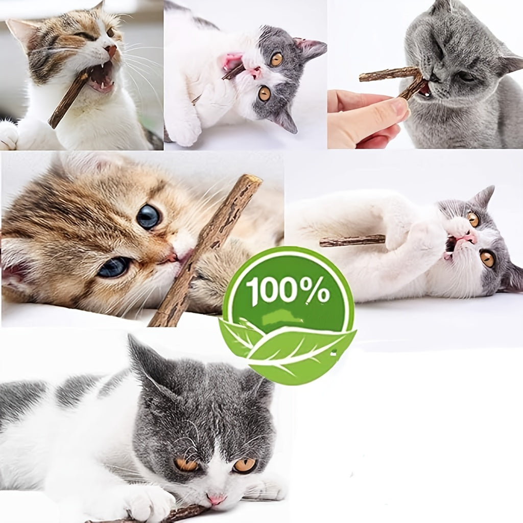 Cat Chew Sticks 25pcs – Interactive Dental Teething Toys for Cats, Teeth Cleaning & Grinding Sticks, 5pcs Per Bag, Promotes Oral Health Through Play