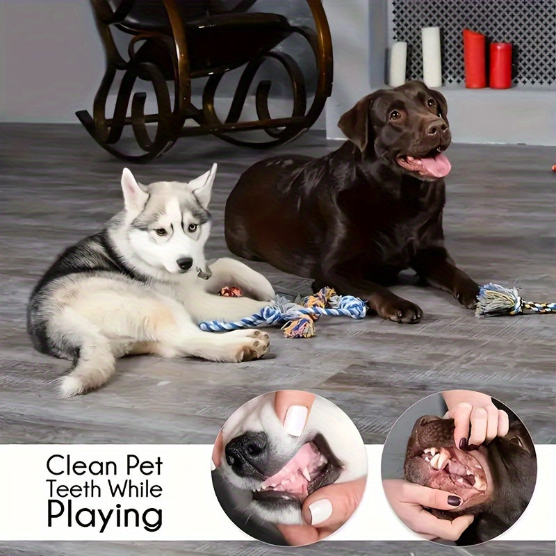 Dog Toy Set 6 or 12 Pcs – Fabric Chew Toys with Squeakers, Knot Toys & Balls, Teeth Cleaning, All Breed Sizes, Cartoon Pattern, No Battery Needed