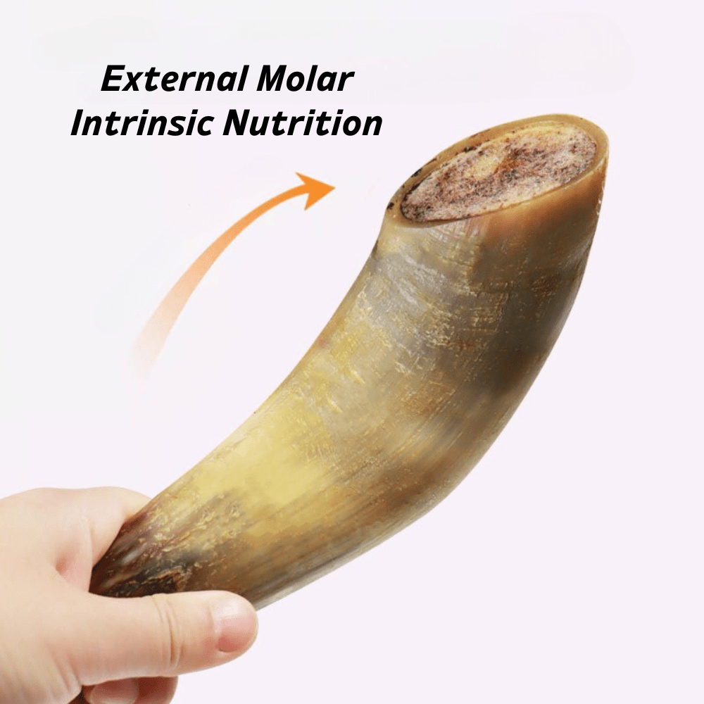 Ox Horn Dog Chews Natural Long Lasting High-Protein Low-Fat Easily Digestible Dog Treat for Small Medium Large Dogs Training Reward 130-150g