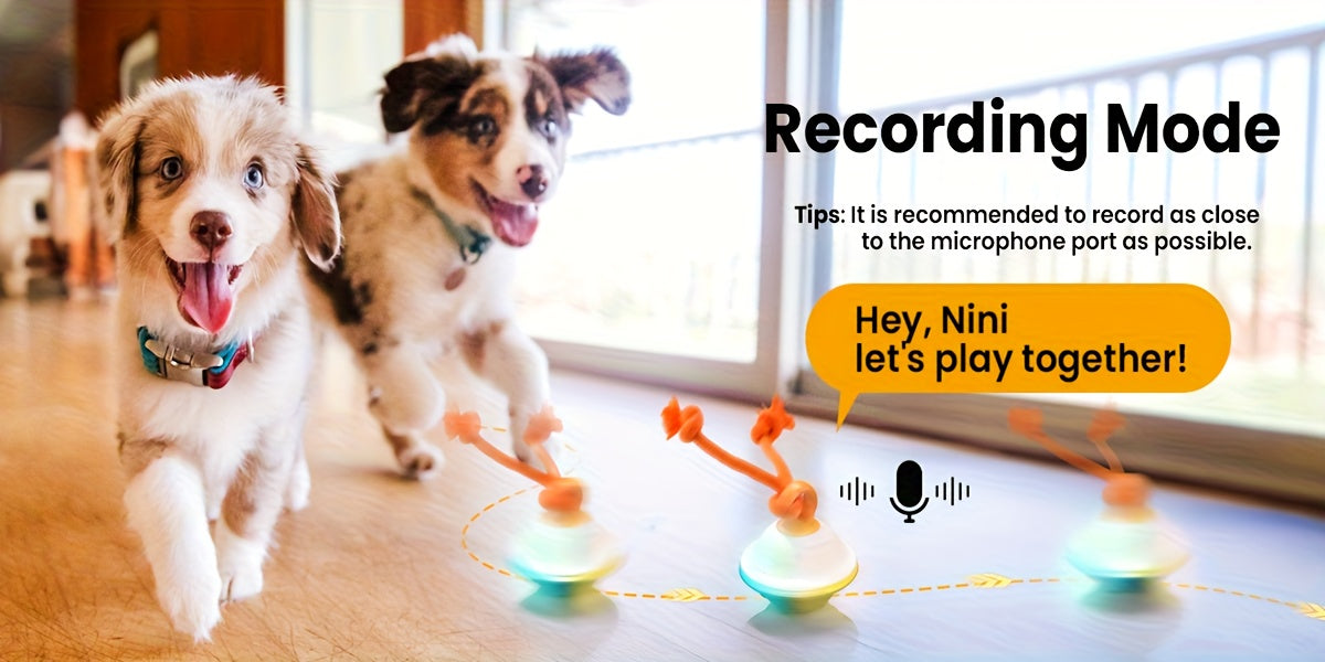 Automatic Rolling Dog Ball with Motion Sensor & Voice Recording – Interactive Rope Toy for Small & Medium Puppies, Outdoor Play, Crate Training & Teething | Green, White, Gray