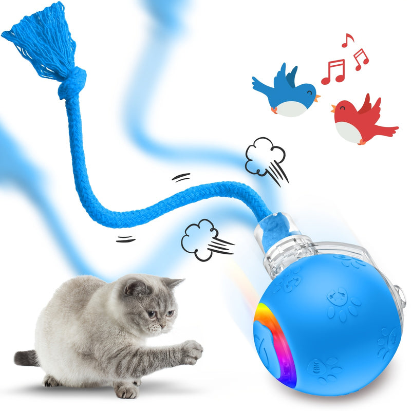 Motion-Activated Smart Cat Toy 2-Pack USB Rechargeable with Bird Sounds Colorful Lights - Interactive Self-Play for Indoor Cats & Kittens