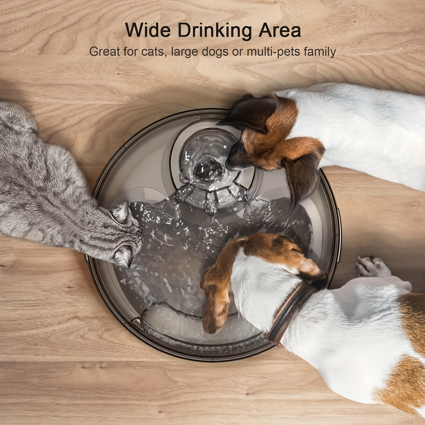 Automatic Pet Water Fountain 1.3-2 Gallon USB Low Voltage with Splatter Guard & Cleaning Kit - Dog Cat Multi-Pet Drinking Dispenser