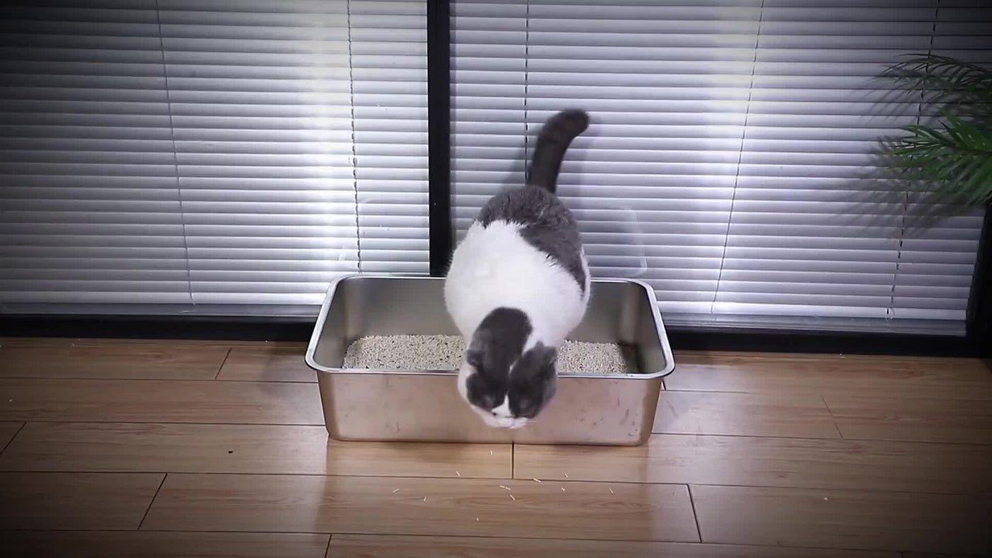 Cat Litter Box Step Ramp Adjustable 3.5" & 6" Non-Slip Litter Trapper Platform for Kittens Senior Cats Automatic Litter Boxes