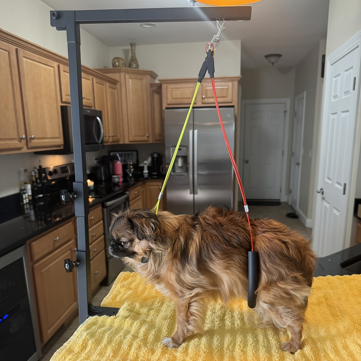 36" Adjustable Dog Grooming Arm with Clamp – No-Sit Haunch Holder, 3-Section Iron Grooming Restraint for Small & Medium Dogs and Cats, Includes Positioning Ropes