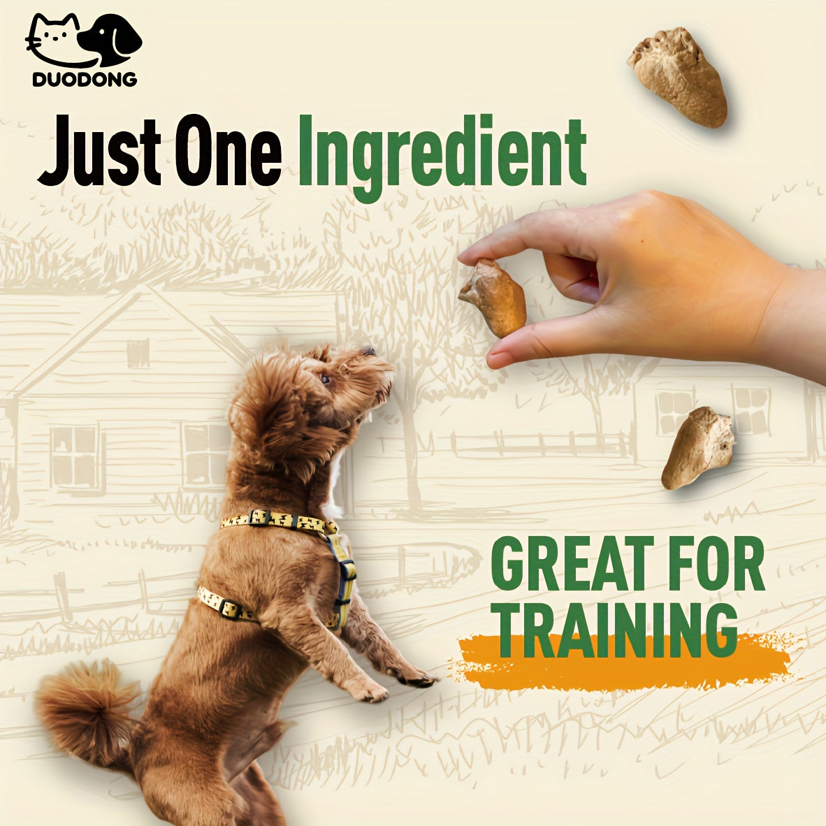 Freeze Dried Chicken Hearts for Dogs & Cats – Single Ingredient High-Protein Grain-Free Gluten-Free Pet Treat, Natural Training Reward & Food Topper, 3.5oz or 10.5oz