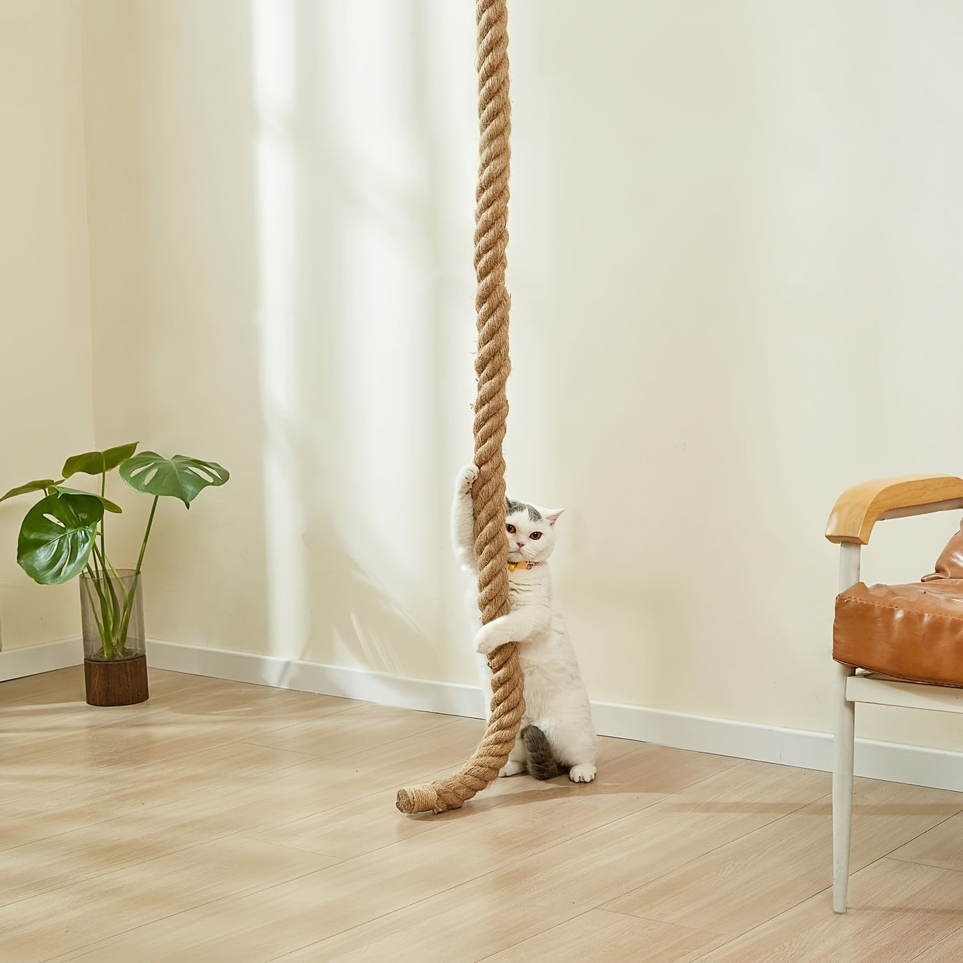 Wall Mounted Cat Scratching Post with Jute Rope Climbing Ladder & Resting Platform – 60in/1.5m Cat Wall Tree, Sisal Rope Cat Climber for Indoor Cats, Endless Fun