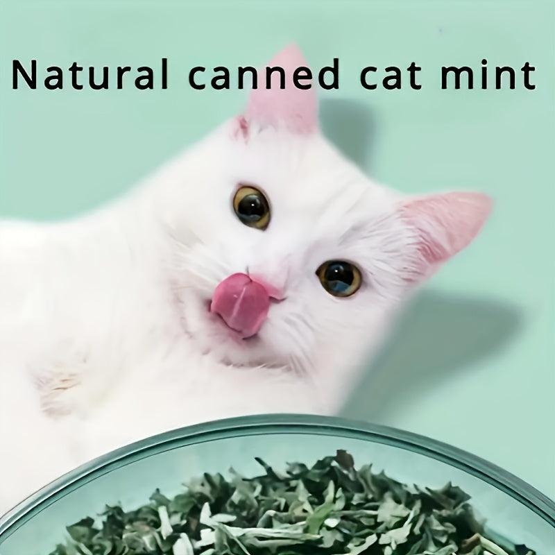 Catnip Leaves Cat Treats 100g – Hairball Control Digestive Support and Stress Relief for Cats