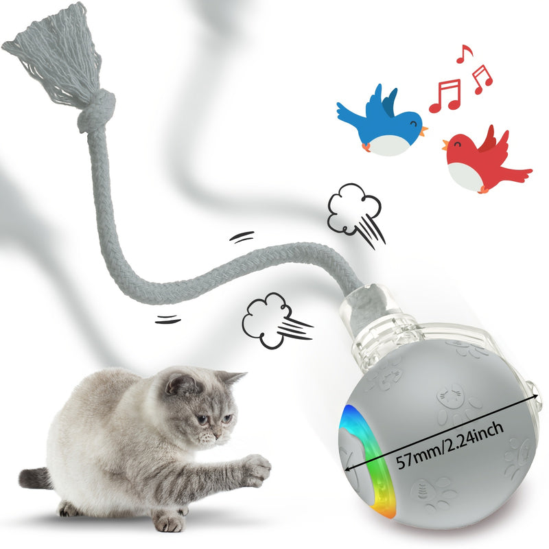 Motion-Activated Smart Cat Toy 2-Pack USB Rechargeable with Bird Sounds Colorful Lights - Interactive Self-Play for Indoor Cats & Kittens