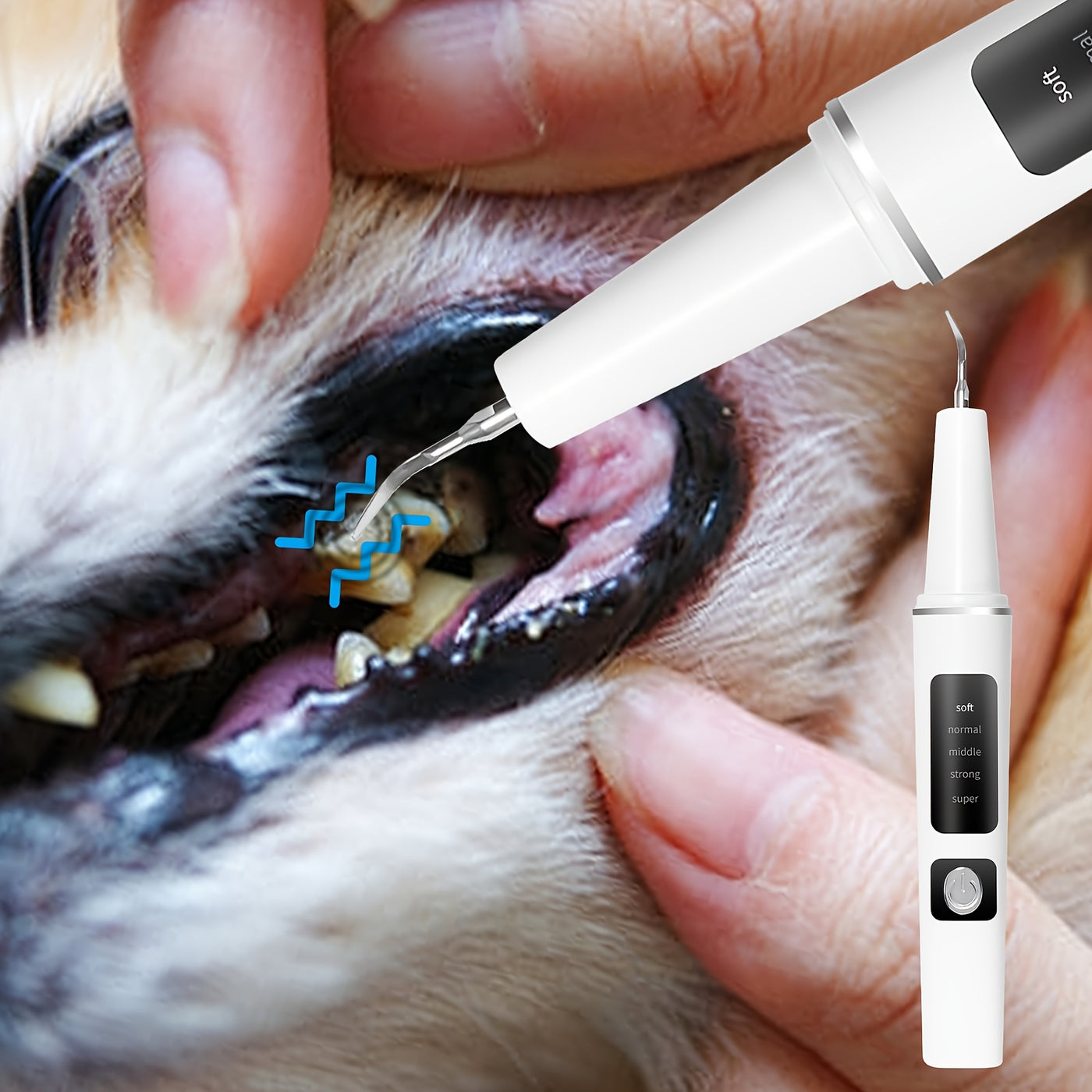 Electric Pet Teeth Cleaning Kit for Cats and Dogs USB Rechargeable – 5 Modes 4 Cleaning Heads Stain Tartar Remover