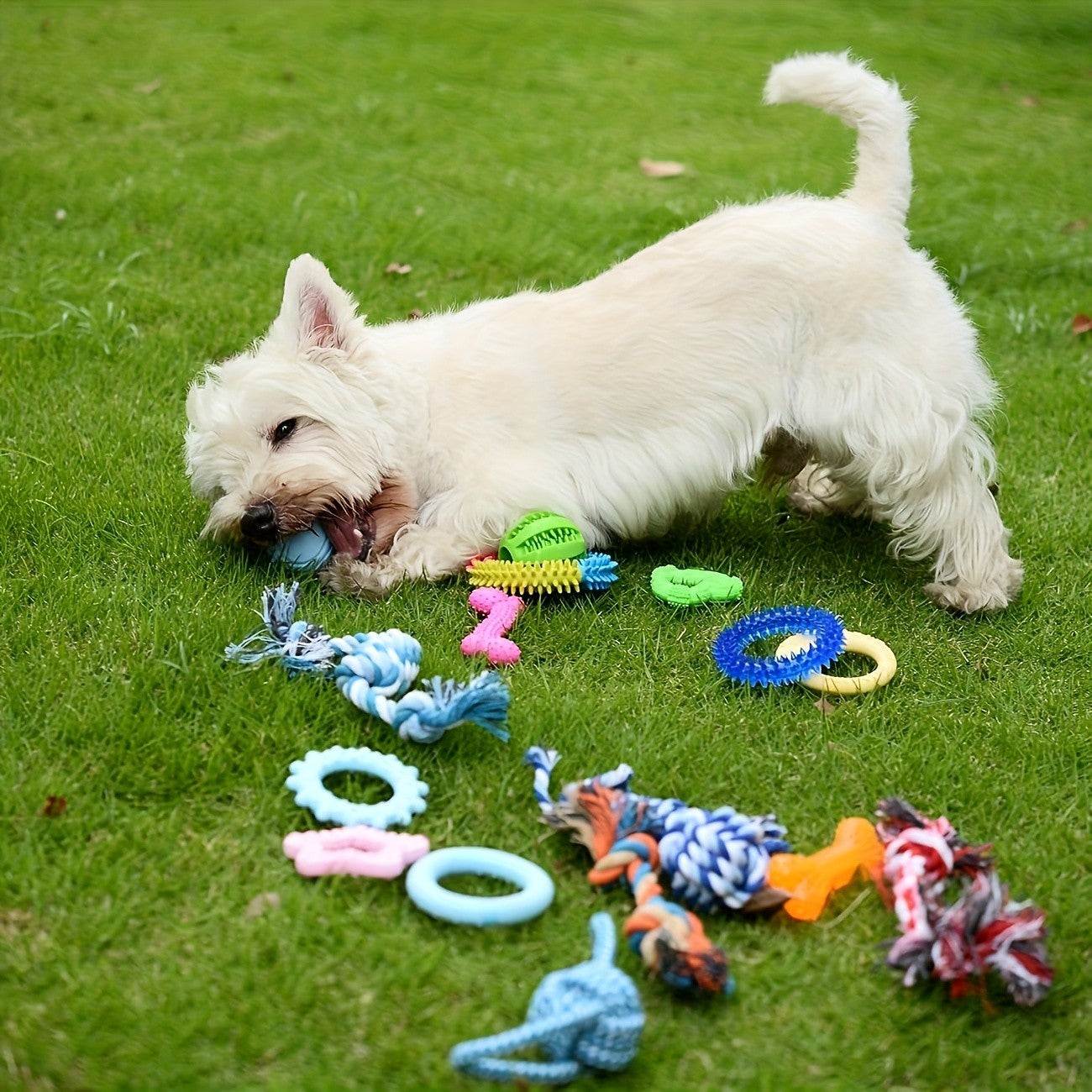 Puppy Chew Toy Set with Squeaky Balls Tug of War & Rope Toys - Teeth Cleaning Dog Toy Pack for Puppies & Small Dogs 6/12/19 Piece