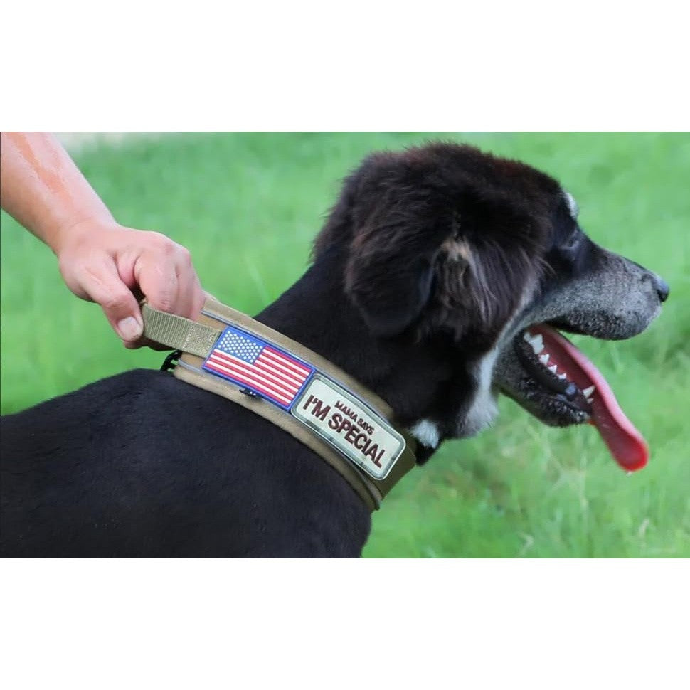 Tactical Dog Collar 3pcs Set 2.6" Heavy Duty Nylon with Padded Handle & Reflective Stitching for Medium & Large Dogs – Quick-Release Metal Buckle, Customizable Patches, Sizes M-XL