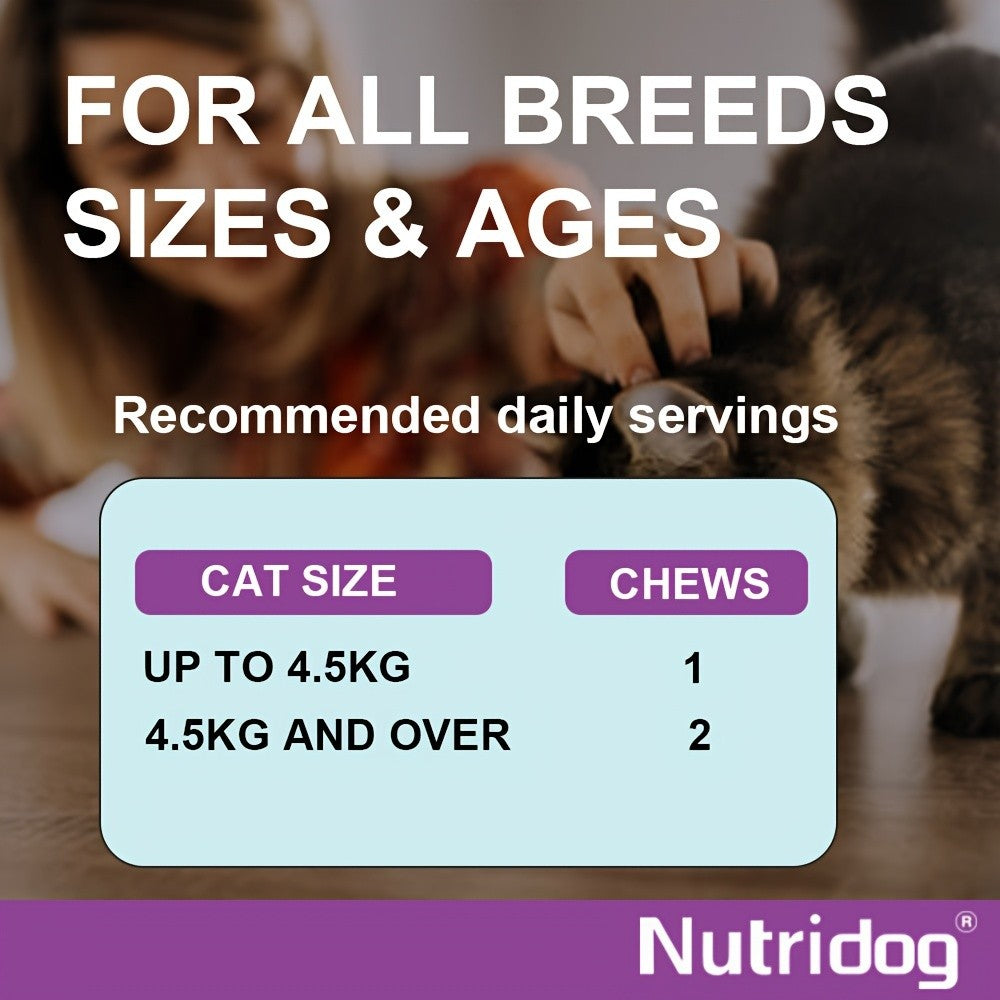 Cat Hairball Control Soft Chews 100ct – Digestive Support Supplement for Cats, Salmon Flavor, Herbal Formula