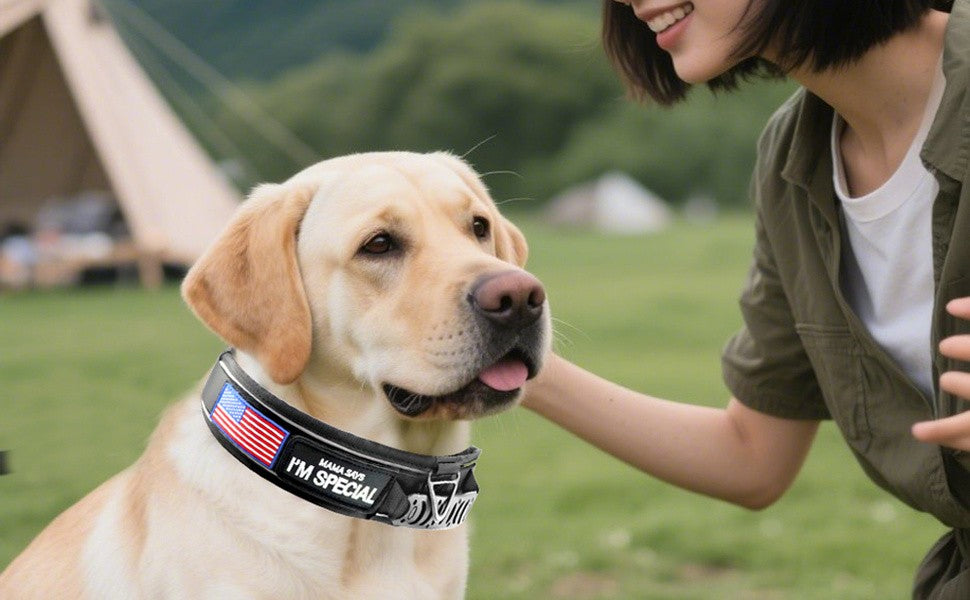 Tactical Dog Collar 3pcs Set 2.6" Heavy Duty Nylon with Padded Handle & Reflective Stitching for Medium & Large Dogs – Quick-Release Metal Buckle, Customizable Patches, Sizes M-XL