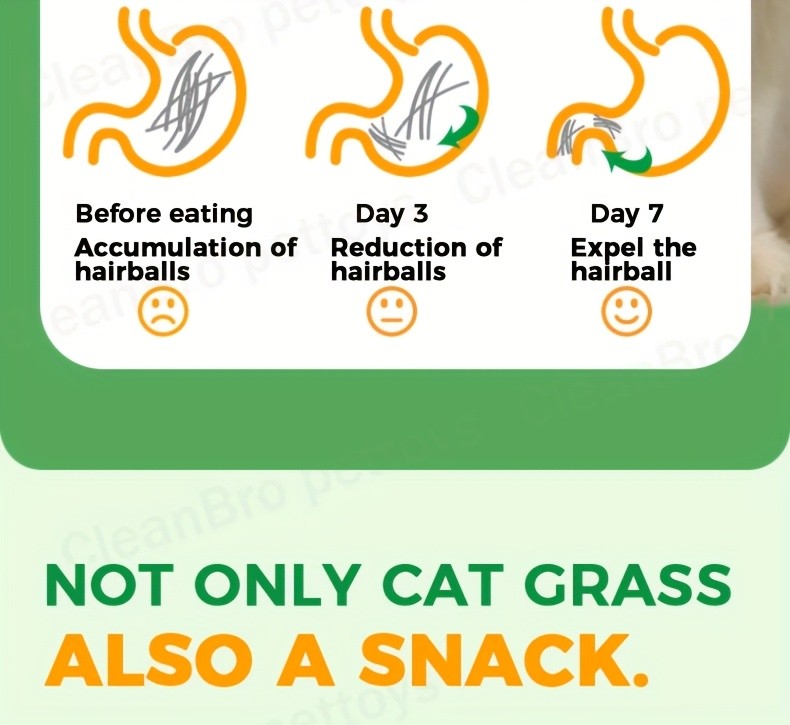 Cat Grass Freeze-Dried Granules & Hairball Tablets for Cats – Mint Molar Sticks, Chicken-Flavored Dental Snacks for Hairball Control & Teeth Cleaning, 150g / 155g