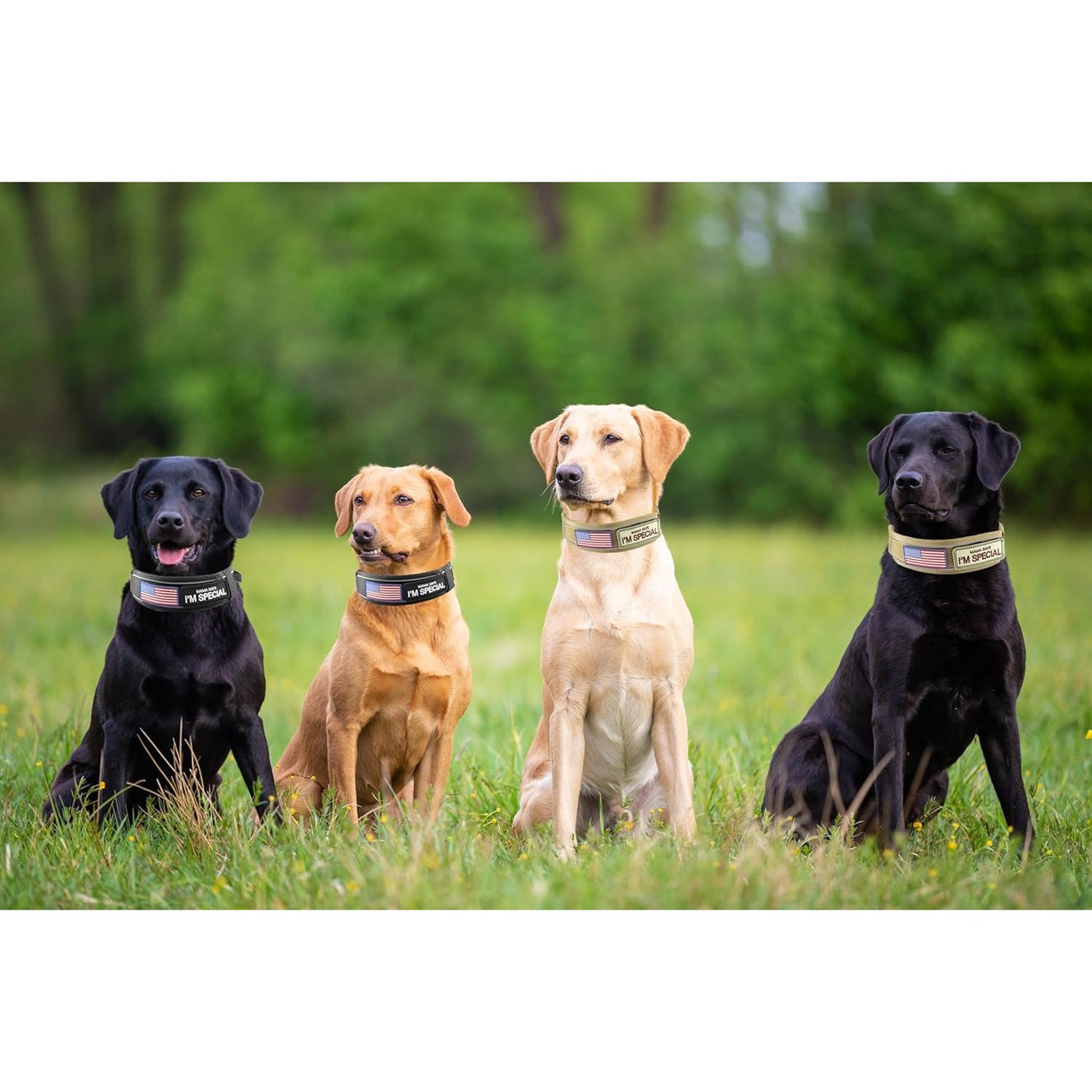 Tactical Dog Collar 3pcs Set 2.6" Heavy Duty Nylon with Padded Handle & Reflective Stitching for Medium & Large Dogs – Quick-Release Metal Buckle, Customizable Patches, Sizes M-XL