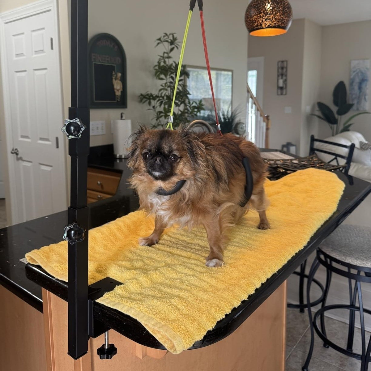 36" Adjustable Dog Grooming Arm with Clamp – No-Sit Haunch Holder, 3-Section Iron Grooming Restraint for Small & Medium Dogs and Cats, Includes Positioning Ropes