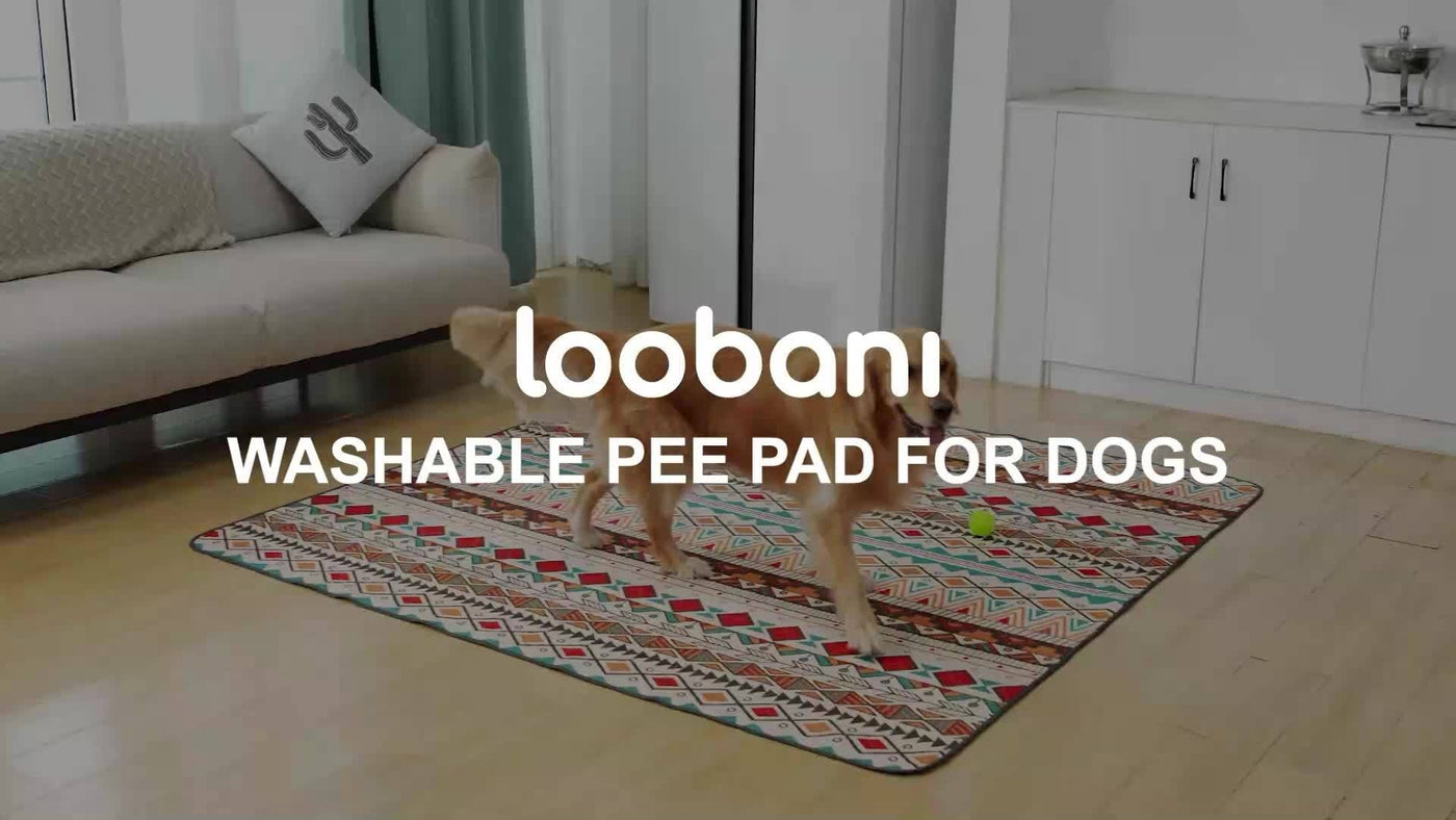 2-Pack Washable Dog Pee Pads Super Absorbent Reusable Puppy Training Pads Leakproof Non-Slip Whelping Pads with Retro Tribal Design – Sizes 18x24 to 36x41 Inch