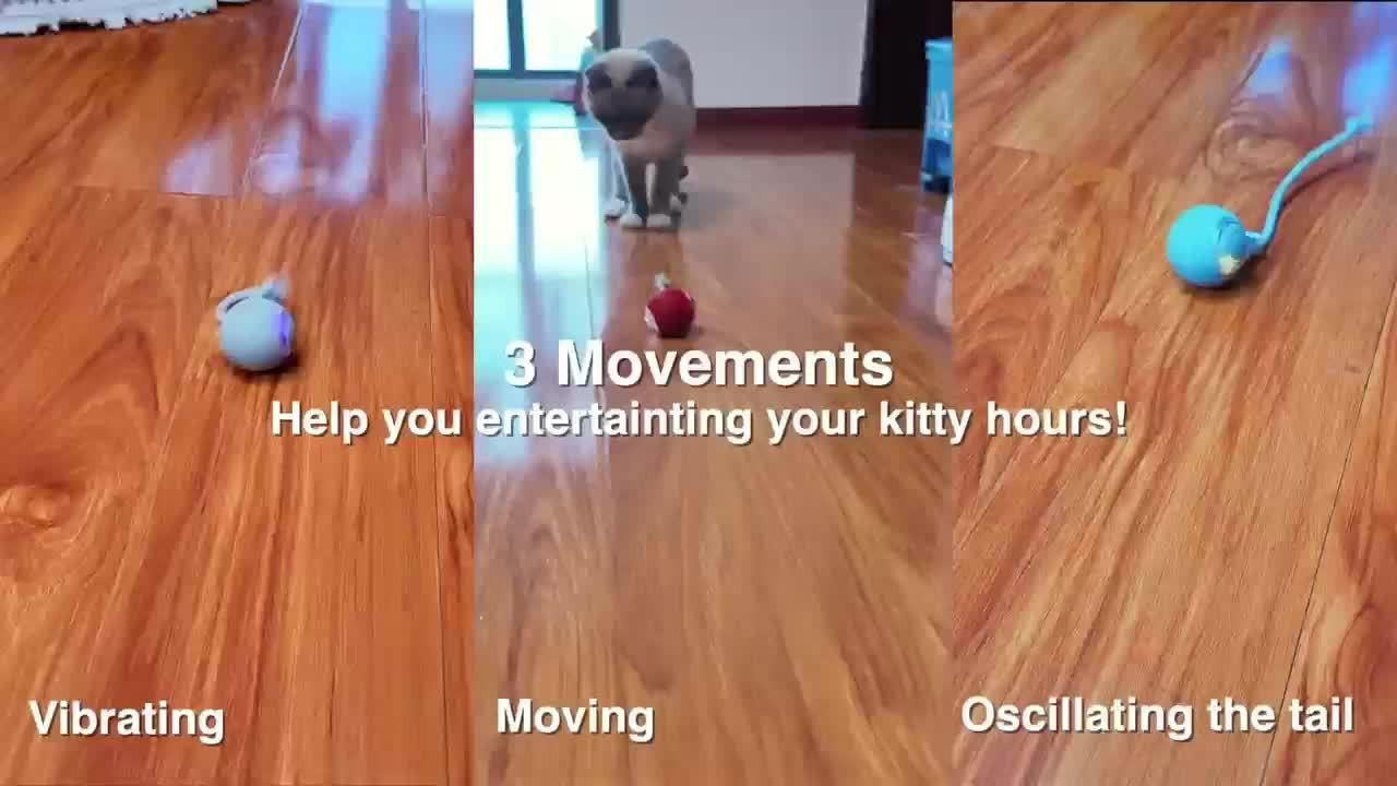 Motion-Activated Smart Cat Toy 2-Pack USB Rechargeable with Bird Sounds Colorful Lights - Interactive Self-Play for Indoor Cats & Kittens