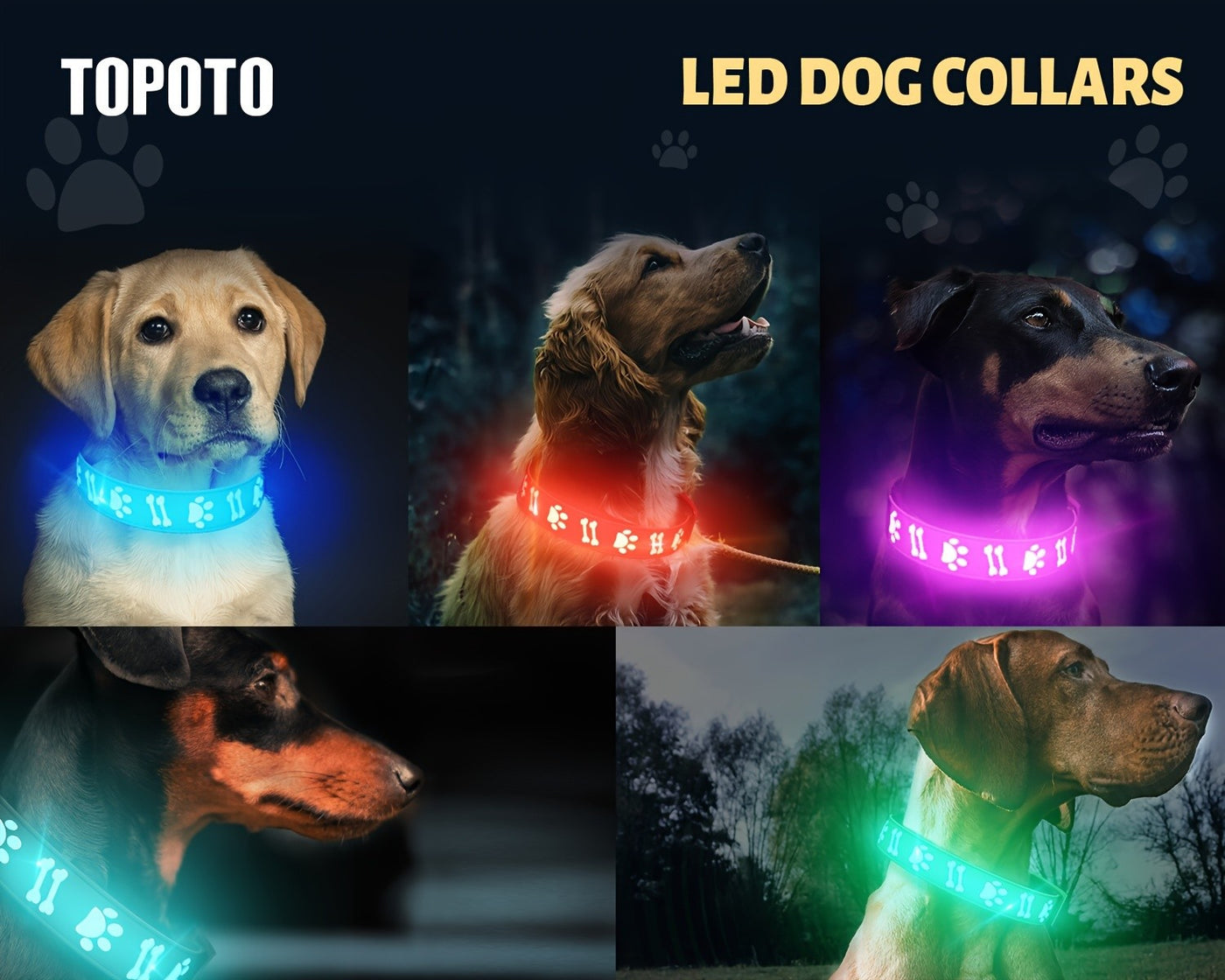 LED Dog Collar USB Rechargeable with 15 Light Modes – Adjustable Glow Safety Collar for Nighttime Walks, Soft 3D Flash Pet Collar for All Dog Sizes, Green Blue Pink Red Black