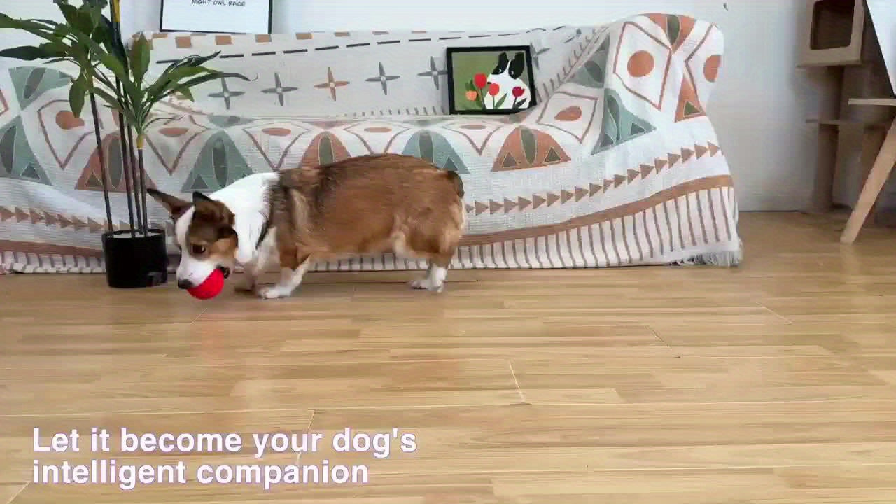 Smart Rechargeable Bouncing Dog Ball with 3 Interactive Modes – Obstacle Avoidance, Low Noise, Teeth Cleaning Toy for Medium & Large Dogs, Multi-Pet Households