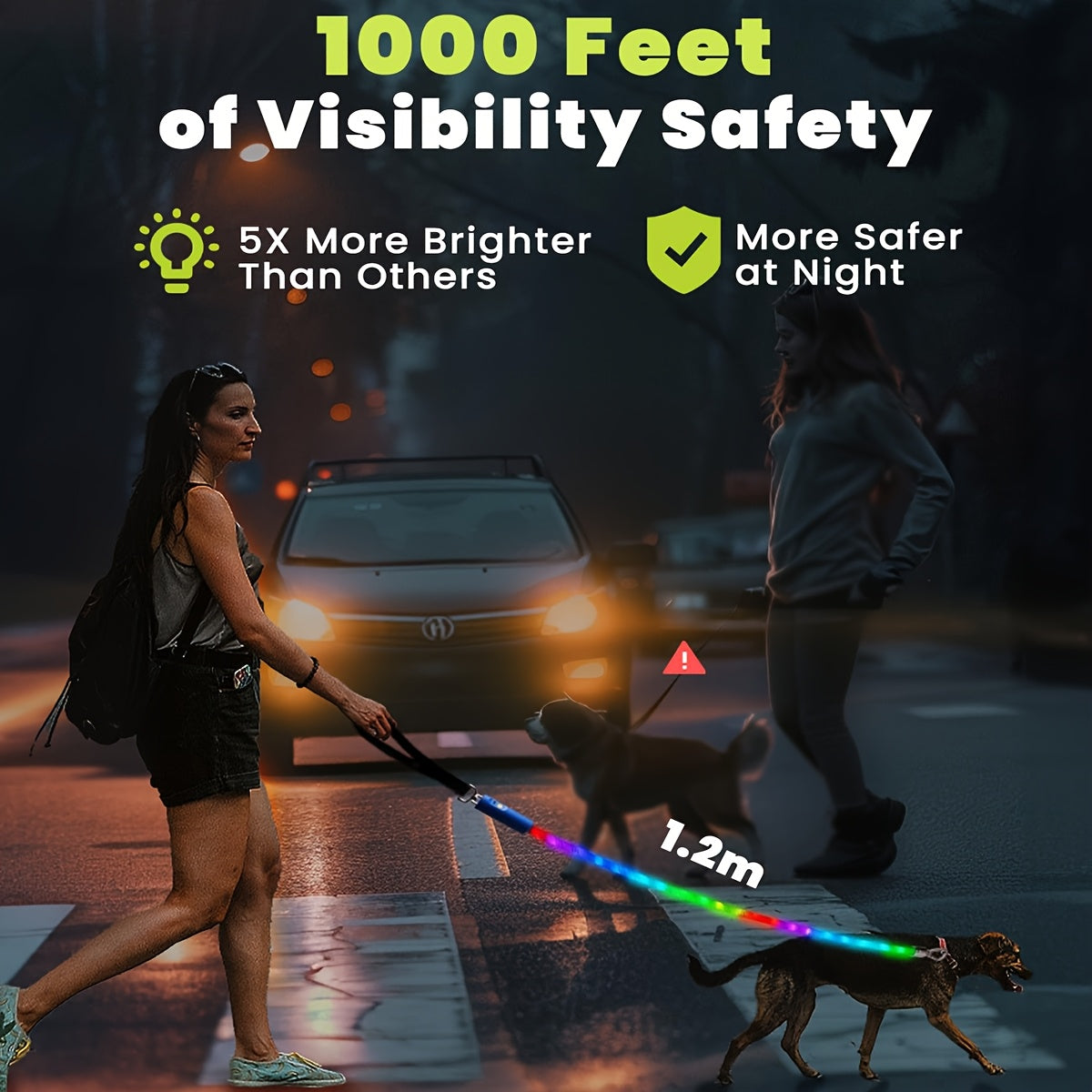 LED Light Up Dog Leash 4Ft Rechargeable with 13 Lighting Modes & Tangle-Free Hook for Night Walking - Glow in the Dark Safety Leash for Small Medium Large Dogs