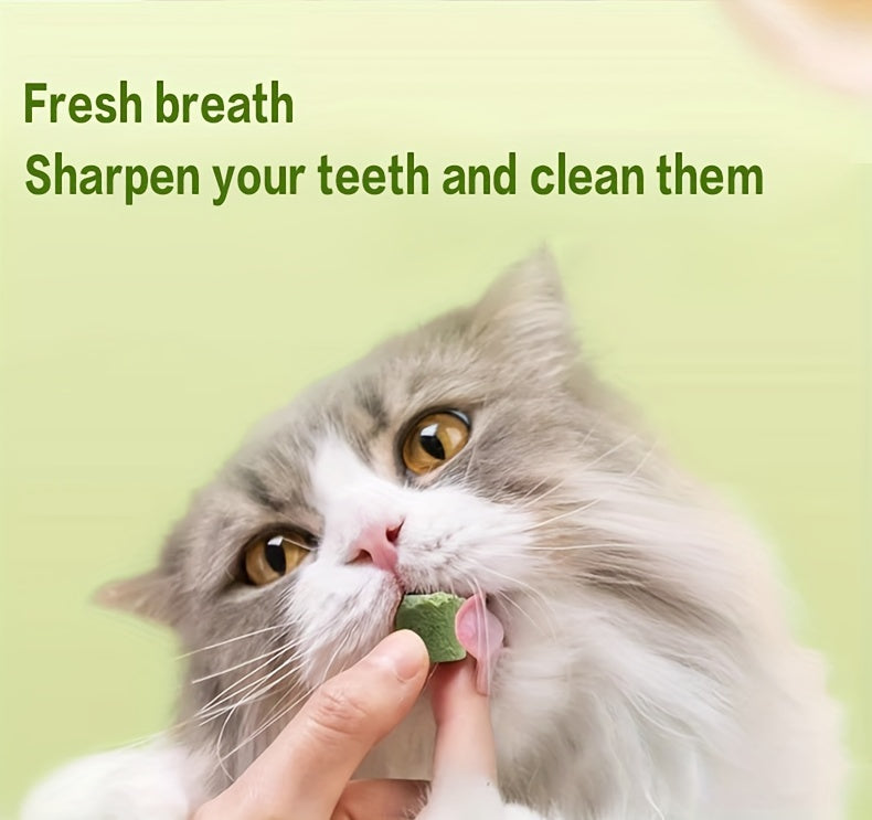 Cat Grass Sticks for Hairball Control – Freeze-Dried Catnip Treats with Instant Granules & Hair Cream Tablets for Indoor Cats | 15pcs / 3x5pcs Pack