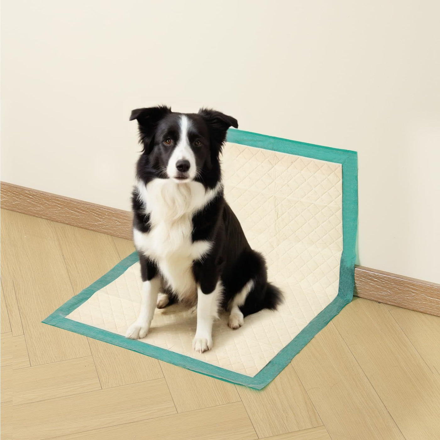 Heavy Duty Dog Pee Pads 24x24 Inch 6-Layer Thick Super Absorbent Leak-Proof Odor-Locking Disposable Puppy Training Pads for Dogs Cats Rabbits