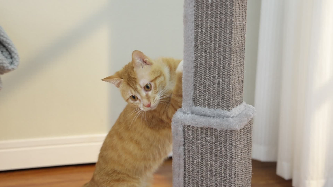 Multi-Tier Sisal Cat Scratching Post Tower with Dangling Ball - 18.9" & 32" Indoor Cat Tree for Energetic Cats, Sturdy Tiered Design, 6 Colors
