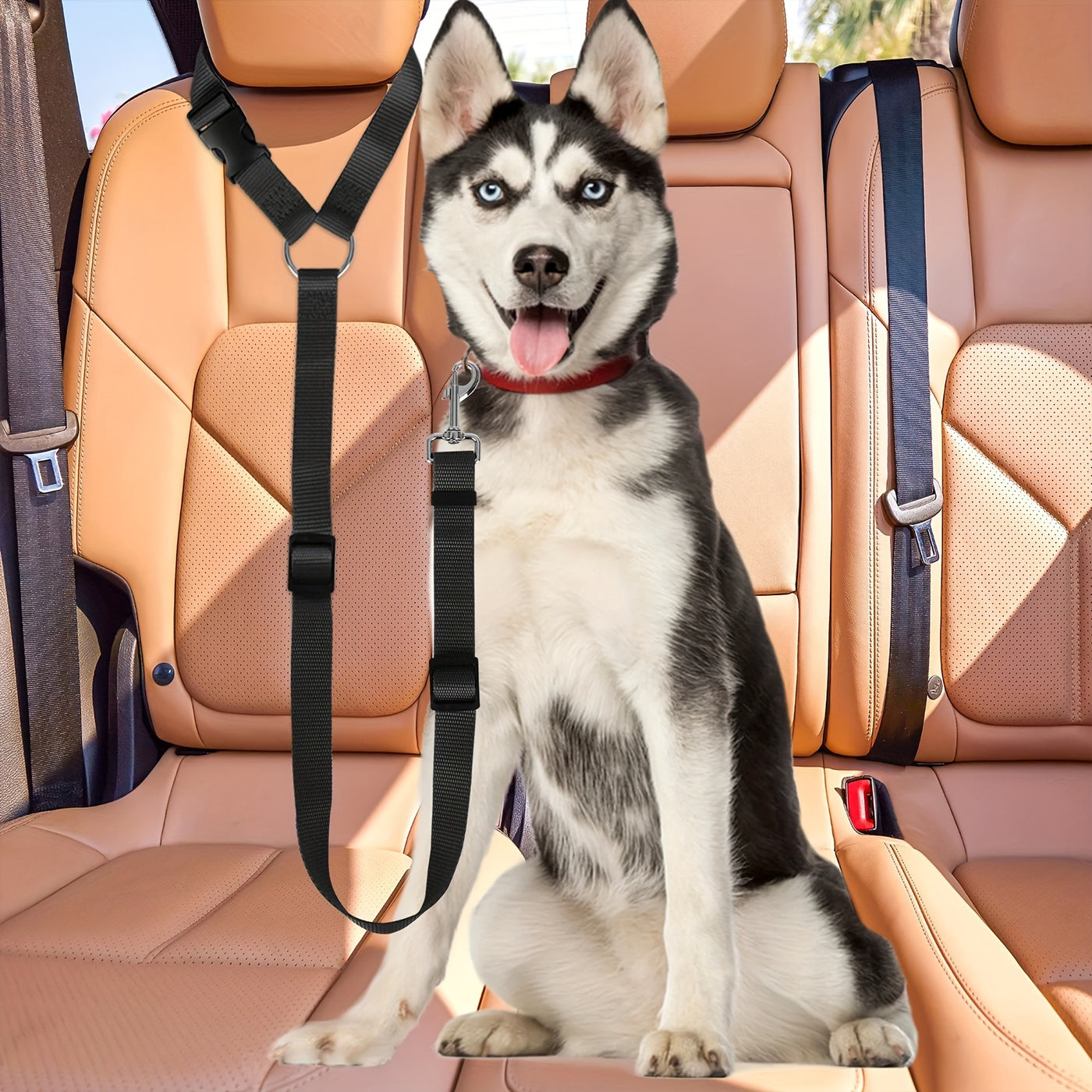 2-in-1 Dog Car Seat Belt & Leash Set 2 Pack – Adjustable Nylon Pet Safety Tether for Small Dogs, Vehicle Travel & Daily Walks