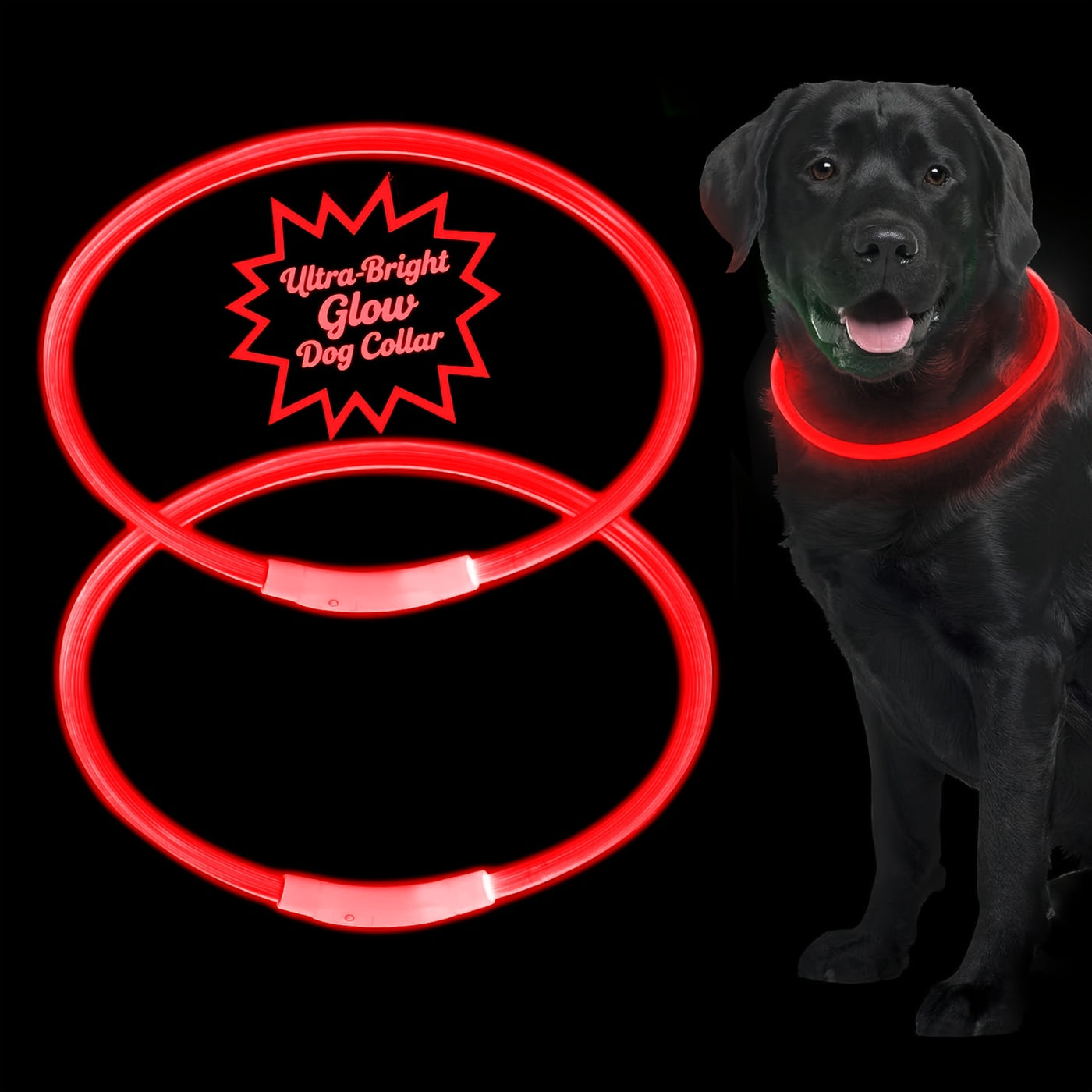 LED Dog Collar USB Rechargeable Light Up Safety Collar with 3 Modes 360° Glow - Adjustable TPU Night Walking Collar for Small Medium Large Dogs, Multi-Color Options