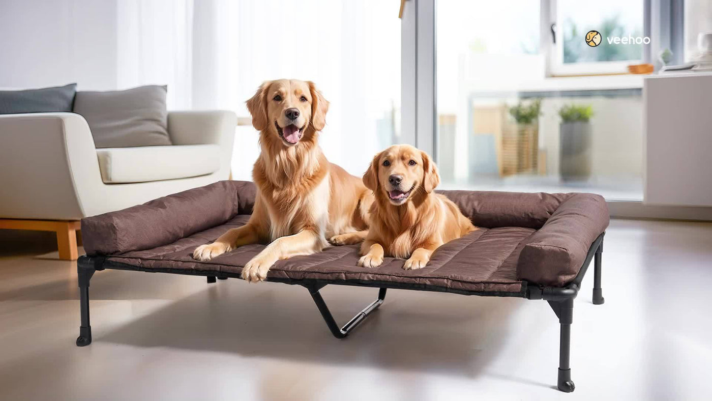 Elevated Cooling Dog Bed with Removable Pillow-Top Bolster Mat - Raised Dog Cot, Breathable Mesh, No-Slip Feet, Steel Frame, Indoor & Outdoor, 4 Sizes, 5 Colors