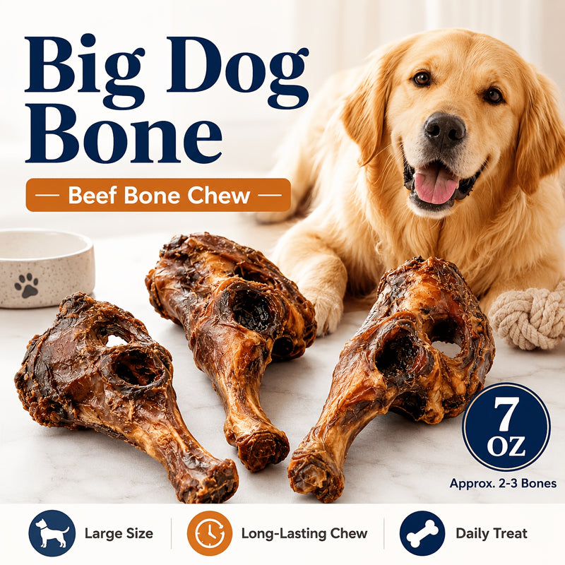 Beef Hip Bone Dog Chews – Long-Lasting Large Beef Bone Treats for Medium & Large Dogs, Aggressive Chewer Bones, Indoor Outdoor Daily Reward, Multi-Pack Options