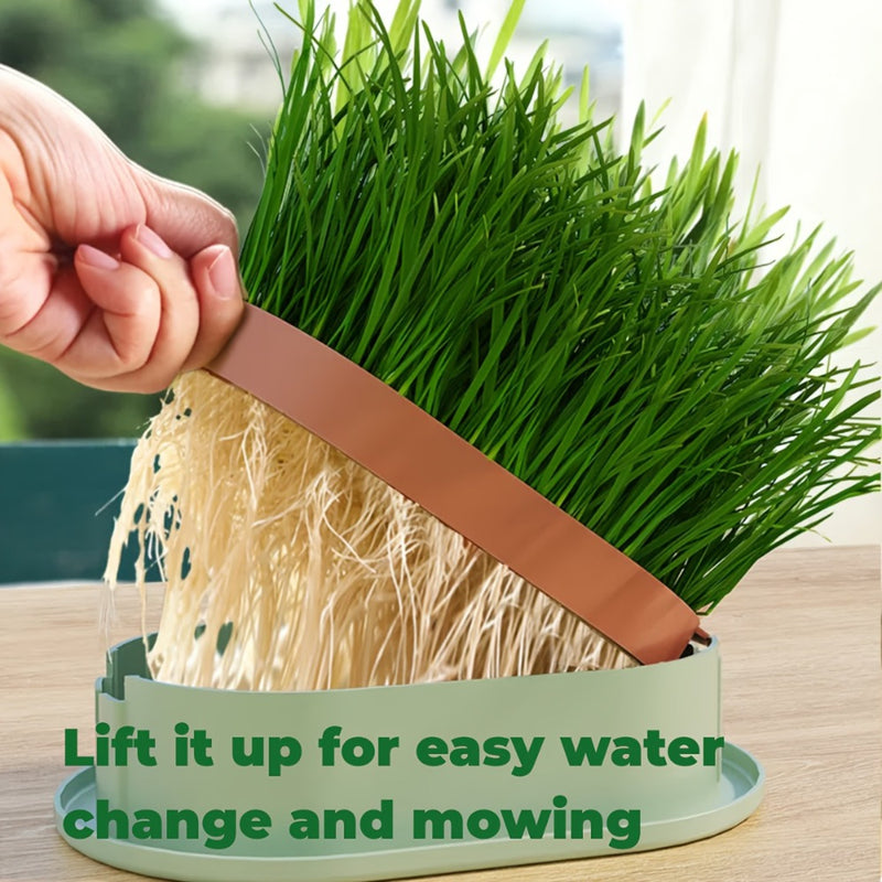 Cat Grass Growing Kit – Easy Sprouting System for Indoor Cats, Natural Cat Grass Toy & Digestive Aid, Wheatgrass Seed Planter for Cats, Healthy Pet Enrichment