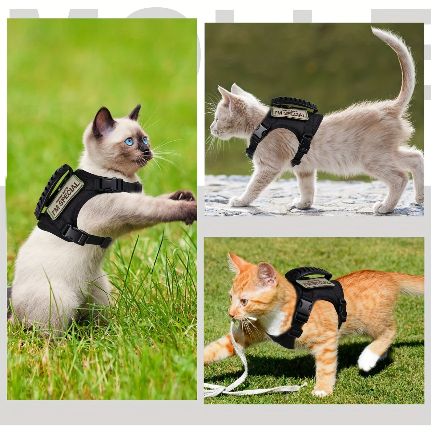 600D Cat Tactical Vest Harness Adjustable - Escape-Proof Chest Strap Vest for Cats & Puppies, Training Walking Outdoor Harness, Black Khaki Red Rose Red Mineral Green Mixed